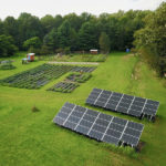 Solar-panels-at-Mad-Lavender-farm
