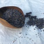 Culinary Lavender buds