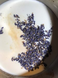 lavender buds in hot milk