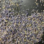 Roasting lavender buds