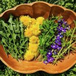 Foraged Spring herbs