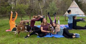 Bachelorette Goat Yoga Party