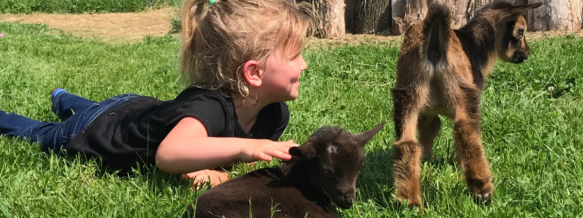 Baby Goat Petting | Mad Lavender Farm