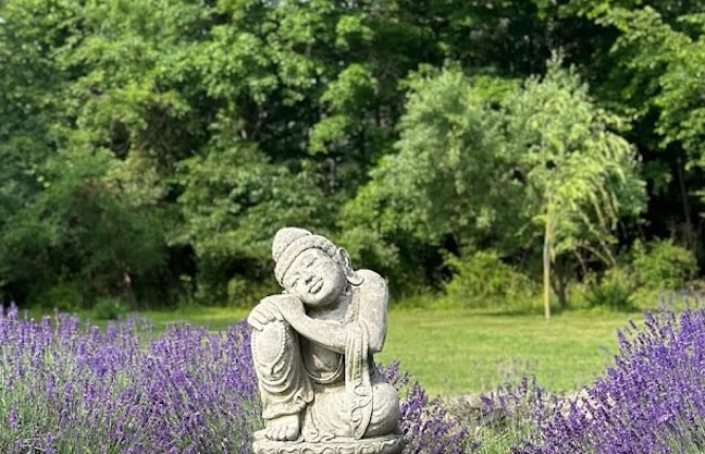Forest Bathing
