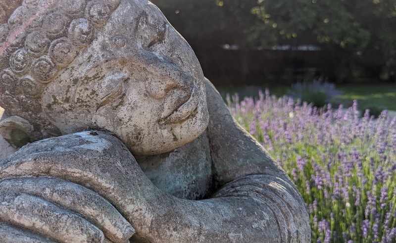 Summer Awakening Retreat