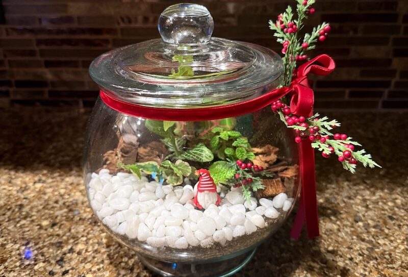 terrarium gift workshop