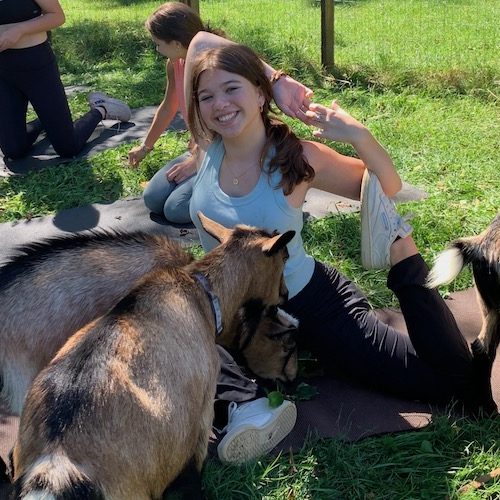 Fun with goats doing goat yoga