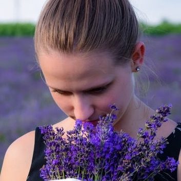 Pick your own lavender at Mad Lavender Farm
