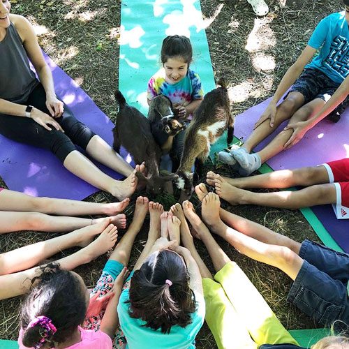 Private-goat-yoga-at-Mad-Lavender-Farm