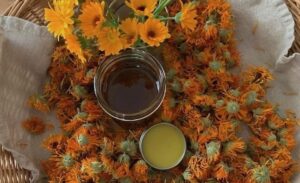 Calendula Mad Lavender Farm