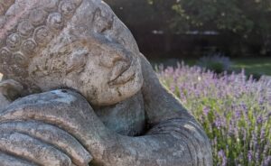 Summer Awakening Retreat